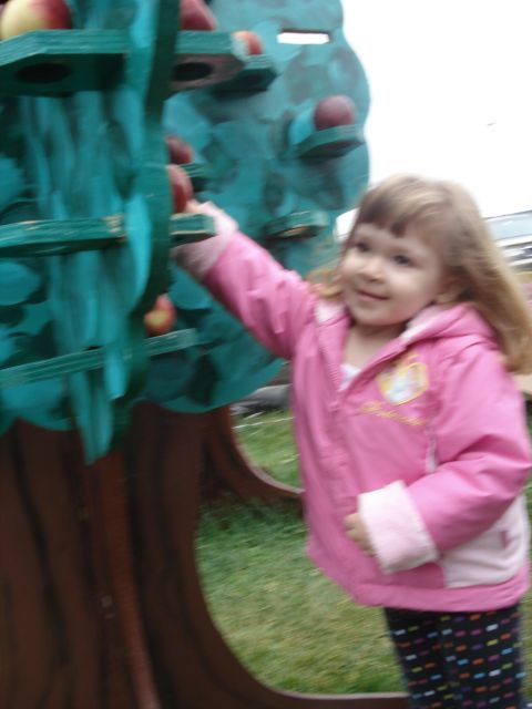 2000 Ford Crown Victoria - A young child plays with a decorative apple tree structure.