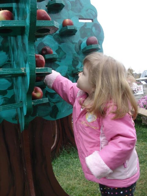 2000 Ford Crown Victoria - A young child reaches for an apple on a decorative tree display.