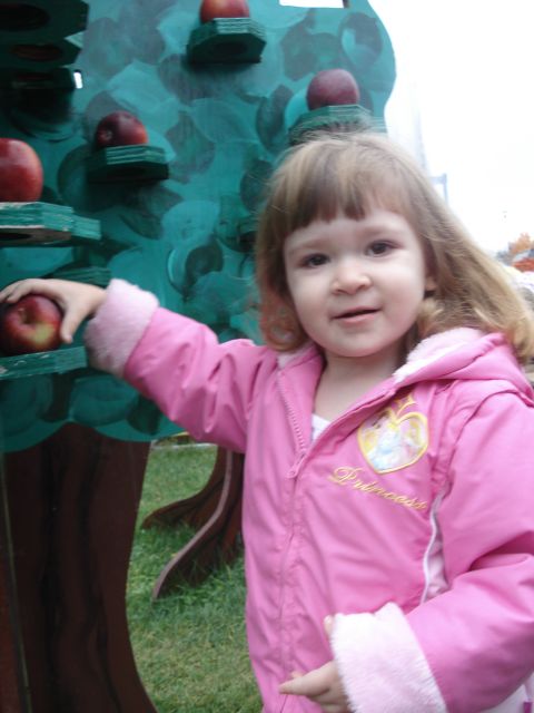 2000 Ford Crown Victoria - A child picks an apple from a colorful, decorative tree.