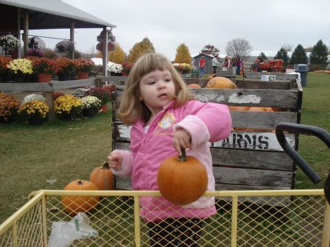 2000 Ford Crown Victoria - A young child enjoys a day at the pumpkin patch, surrounded by autumn decorations.