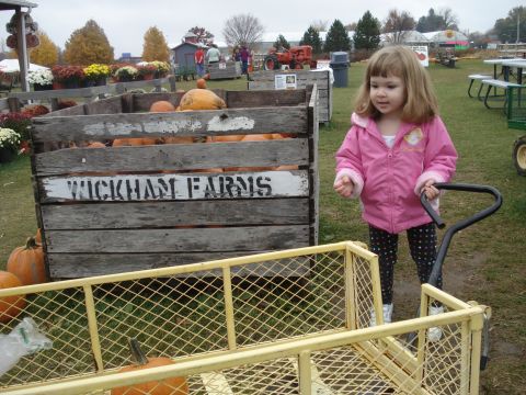 2000 Ford Crown Victoria - A young girl pulls a wagon at Wickham Farms, surrounded by pumpkins and autumn decorations.