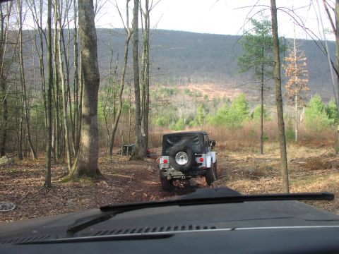 1986 Ford Bronco - Two off-road vehicles navigate a wooded trail with a mountain in the distance.