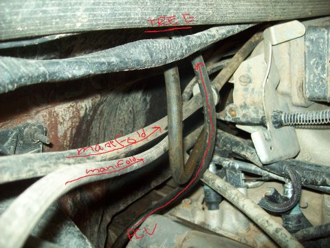 1985 Ford Bronco - Close-up view of engine bay hoses, with labels indicating 'manifold' and 'PCV' connections.