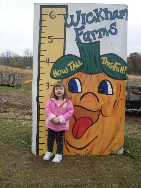 2000 Ford Crown Victoria - A young child poses next to a large, cartoonish pumpkin at Wickham Farms, which features a height measurement scale.