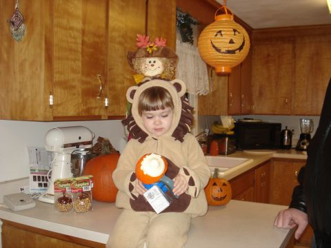 2000 Ford Crown Victoria - A child dressed as a lion sits on a kitchen counter, holding a pumpkin and surrounded by Halloween decorations.