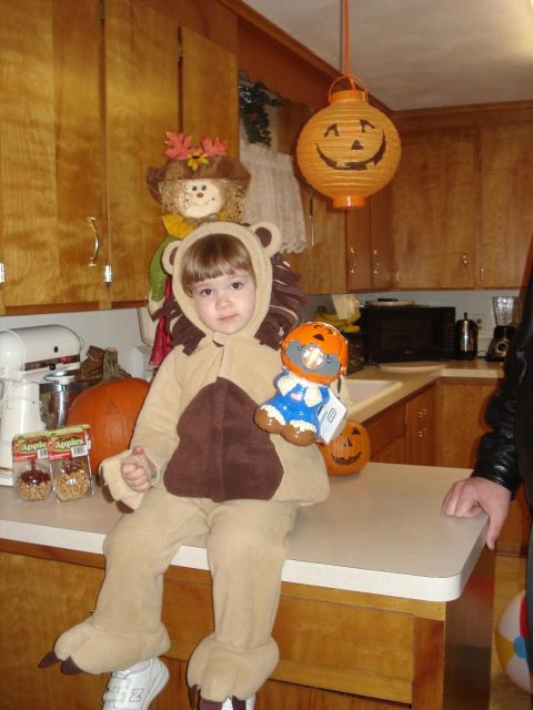 2000 Ford Crown Victoria - A child dressed as a lion sits on a kitchen counter with Halloween decorations in the background.