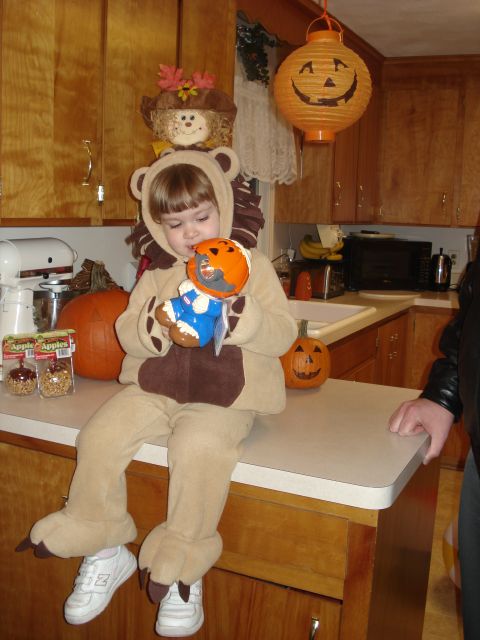 2000 Ford Crown Victoria - A child dressed as a bear sits on a kitchen counter, holding a toy, surrounded by Halloween decorations.