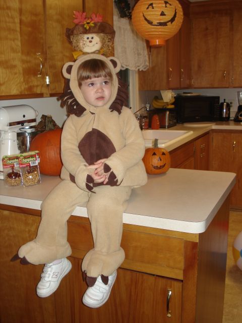 2000 Ford Crown Victoria - A child dressed as a lion sits on a kitchen counter next to Halloween decorations.