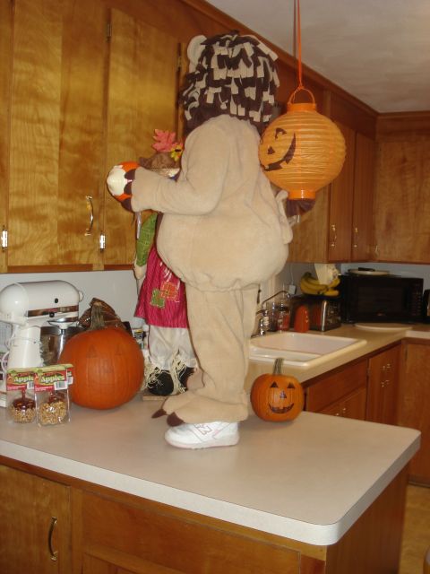 2000 Ford Crown Victoria - A person dressed as a lion stands on a kitchen counter, holding a pumpkin, surrounded by Halloween decor.