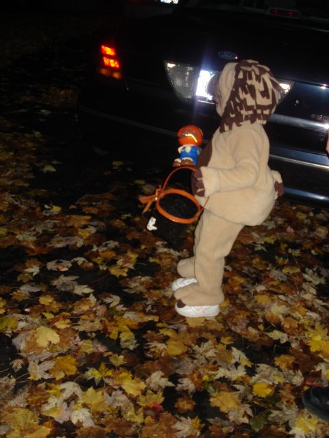 2000 Ford Crown Victoria - A child dressed as a lion holds a candy basket next to a 2000 Ford Crown Victoria on a street covered in autumn leaves.