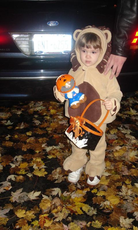 2000 Ford Crown Victoria - Child in lion costume stands by a 2000 Ford Crown Victoria on a leaf-covered ground.