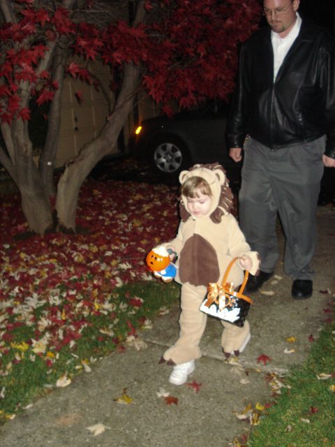 2000 Ford Crown Victoria - A child dressed as a lion walks down a sidewalk on Halloween night, holding a candy bucket.