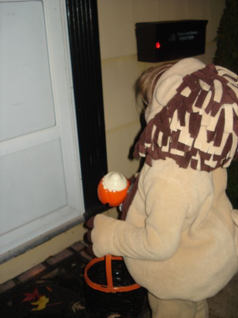 2000 Ford Crown Victoria - A child dressed as a lion holds a candy bucket while standing on a porch.