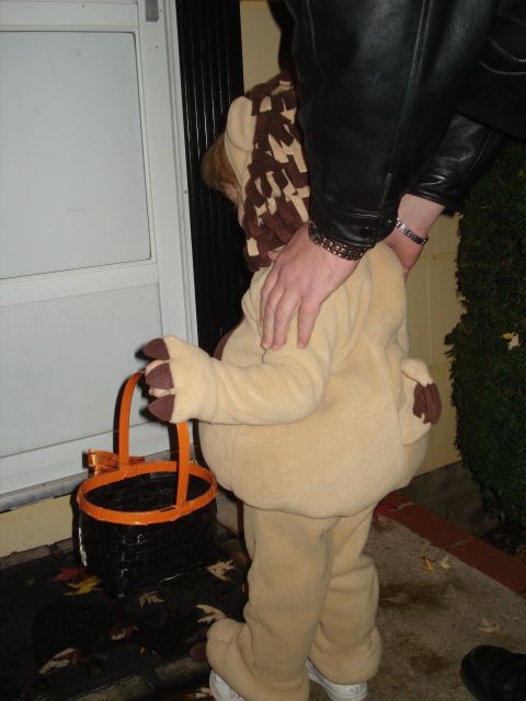 2000 Ford Crown Victoria - A child dressed as a lion holds a basket for Halloween candy.