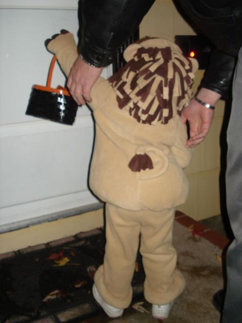 2000 Ford Crown Victoria - Child dressed as a lion holds a candy bag while standing by a door.