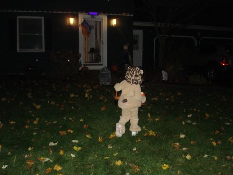 2000 Ford Crown Victoria - A child dressed as a lion walks across a lawn at night, likely trick-or-treating.
