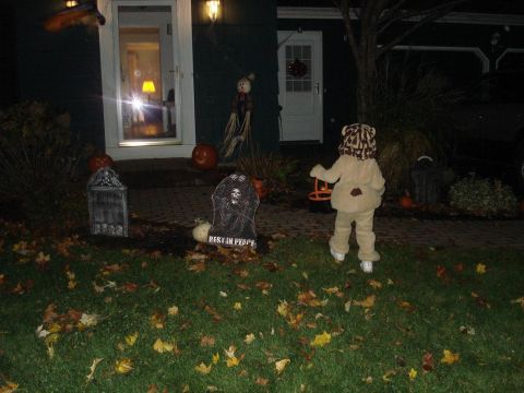 2000 Ford Crown Victoria - A child dressed as a lion walks across a lawn decorated for Halloween.
