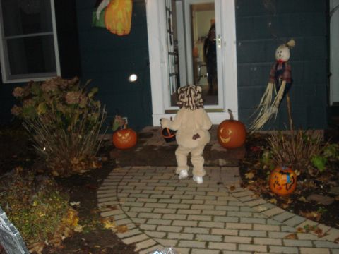 2000 Ford Crown Victoria - A child dressed as a lion walks up a decorated walkway on Halloween night, carrying a candy bucket.