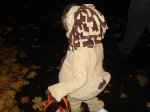 2000 Ford Crown Victoria - A child dressed as a lion walks at night, carrying a Halloween candy bucket.