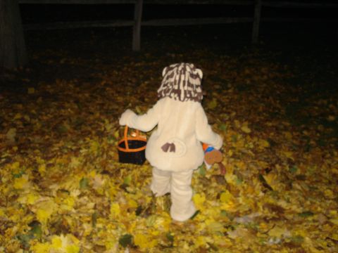 2000 Ford Crown Victoria - A child dressed as a lion walks through a yard covered in autumn leaves, holding a trick-or-treat bucket.