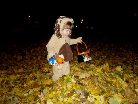 2000 Ford Crown Victoria - A child dressed as a lion collects candy on Halloween night amidst a carpet of autumn leaves.