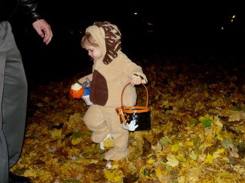 2000 Ford Crown Victoria - A child dressed as a dog trick-or-treats on Halloween night, walking through a carpet of autumn leaves.