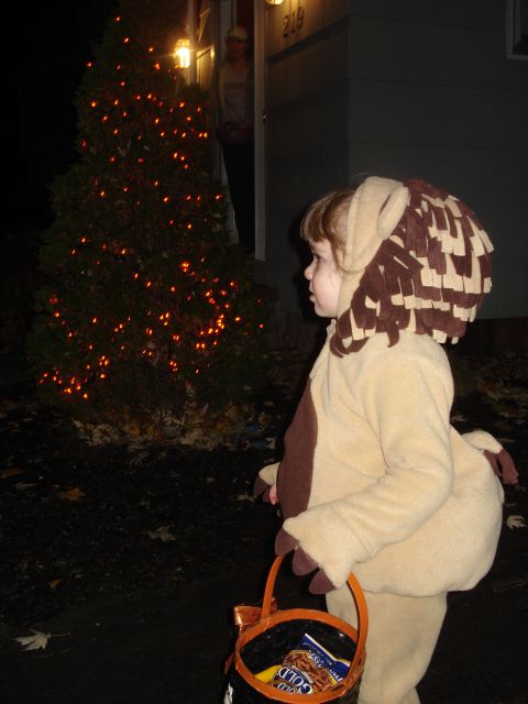 2000 Ford Crown Victoria - A child dressed as a lion holds a candy bucket while trick-or-treating on Halloween night.