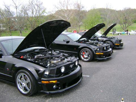 2008 Ford Mustang photo
