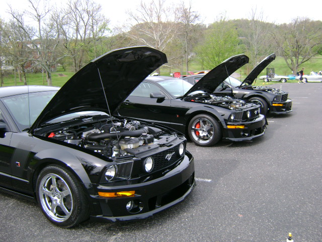 Three black Ford Mustangs parked in a row with hoods open at an outdoor car show