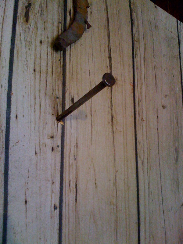 Rusty nail and horseshoe on wood-paneled wall