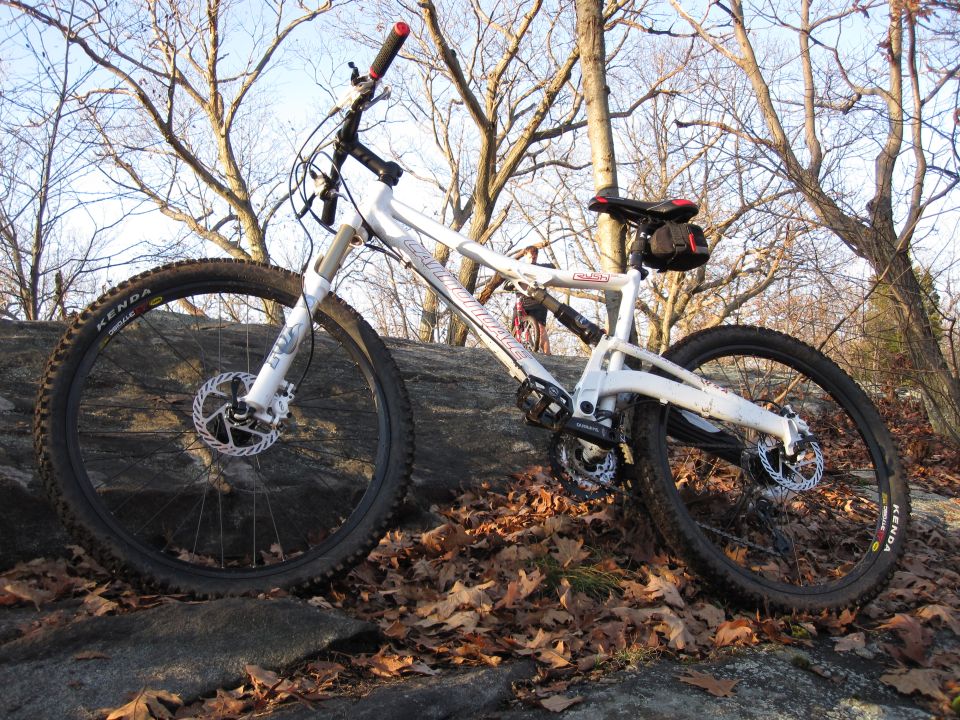 White full-suspension mountain bike on a rock with fallen leaves