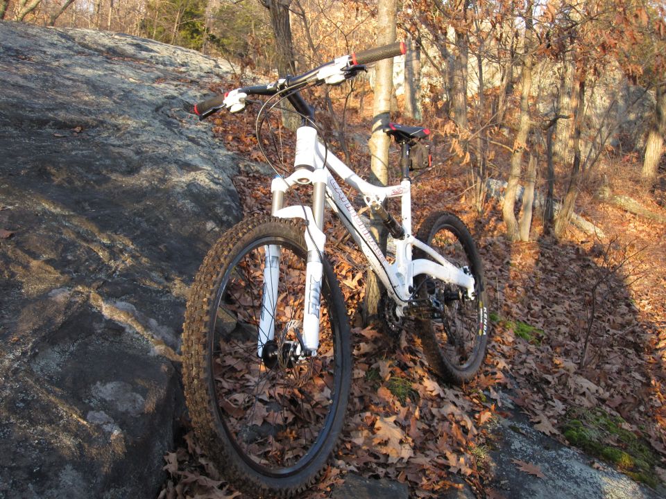 White mountain bike with knobby tires parked on a rocky, leaf-covered slope