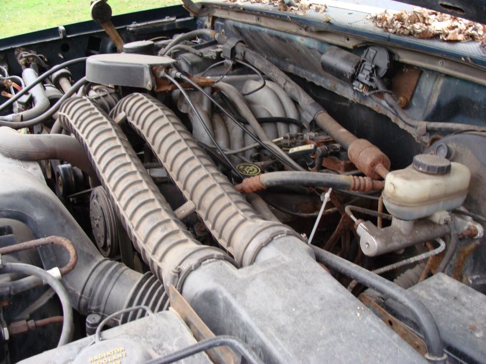 Engine bay with hoses, engine parts, and brake fluid reservoir