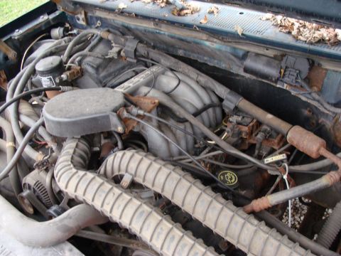 1993 Ford Bronco photo