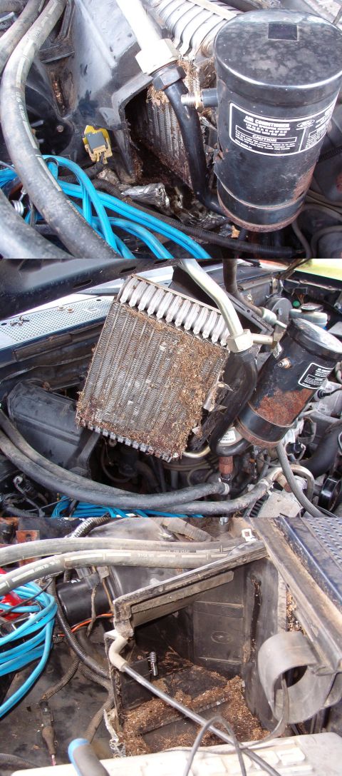 1993 Ford Bronco - The butyl sealant between the case halves takes some effort to separate, and then the evaporator & cover can be removed forward & upward to…