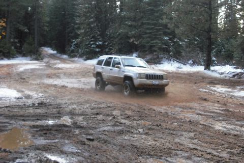 1979 Ford Bronco photo