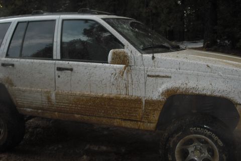 1979 Ford Bronco photo