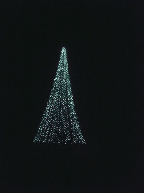 1966 Land Rover Discovery - My first big tree, 22' tall, 2800 lights (green)