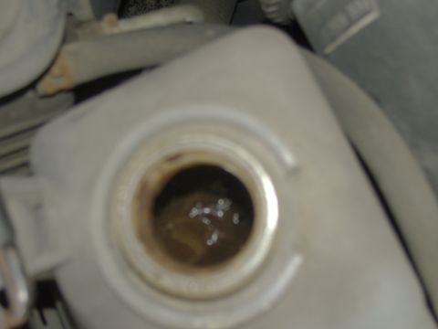 2007 Ford Mustang - The coolant reservoir contains murky fluid, indicating a potential issue with the cooling system.