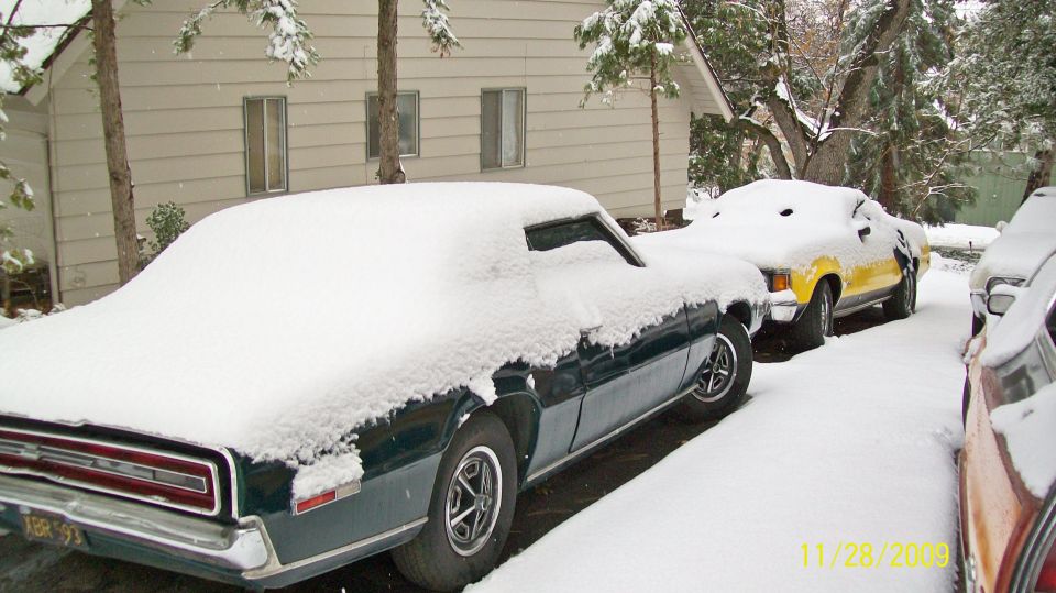 Dark green car covered in snow, rear view. License plate visible