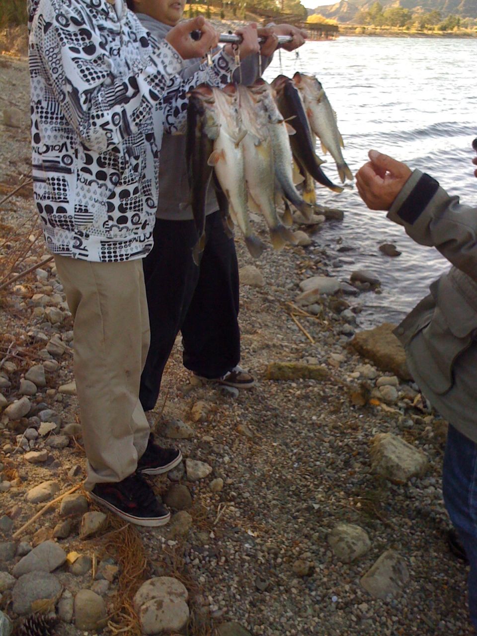 People holding stringers of caught fish by a lake