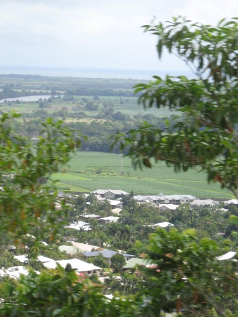 2008 Ford F-250 - A distant view of a residential area with many houses and surrounding agricultural fields, partially obscured by foreground foliage.