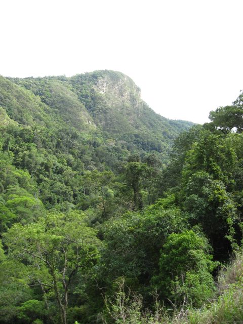 2008 Ford F-250 - A view of a heavily forested mountain range, with a rocky peak visible in the distance.