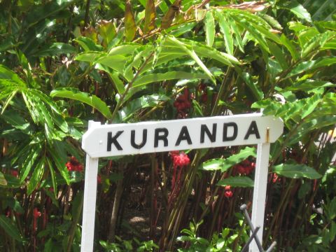2008 Ford F-250 - A sign indicates the direction to Kuranda, a town in Queensland, Australia, set against a backdrop of vibrant tropical plants.