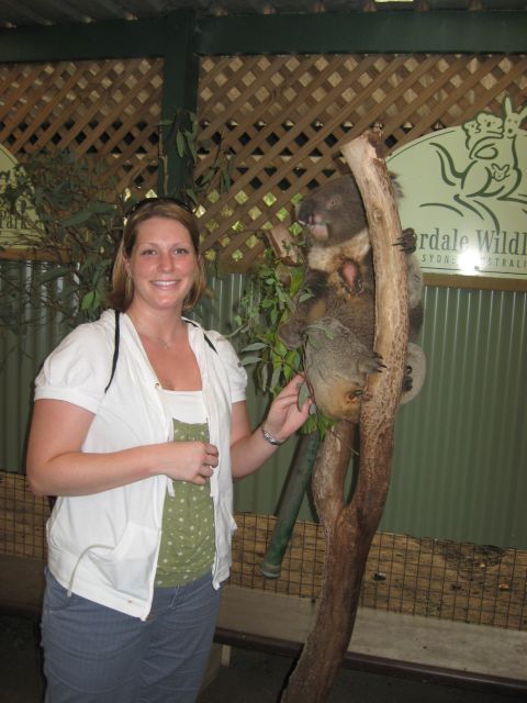2008 Ford F-250 - A woman poses with a koala clinging to a tree at a wildlife park in Australia.