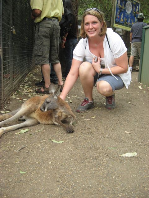 2008 Ford F-250 - A woman interacts with a kangaroo at an outdoor enclosure, with other visitors observing.