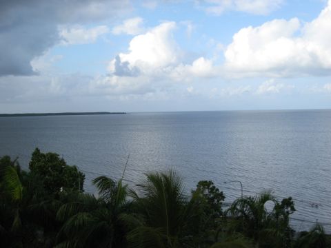 2008 Ford F-250 - A wide expanse of ocean under a cloudy sky, with tropical foliage in the foreground.