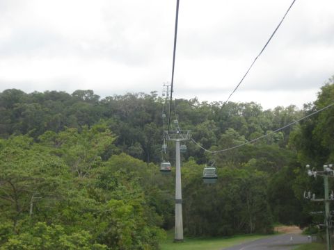 2008 Ford F-250 - Multiple cable cars travel along a suspended wire system through a dense forest landscape.