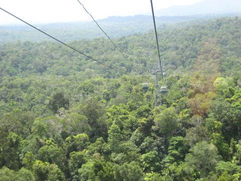 2008 Ford F-250 - View from a cable car ascending over a dense tropical rainforest.