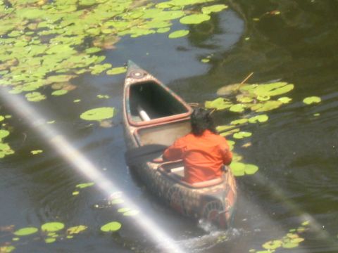 2008 Ford F-250 - A person in an orange shirt paddles a canoe through water covered in lily pads.